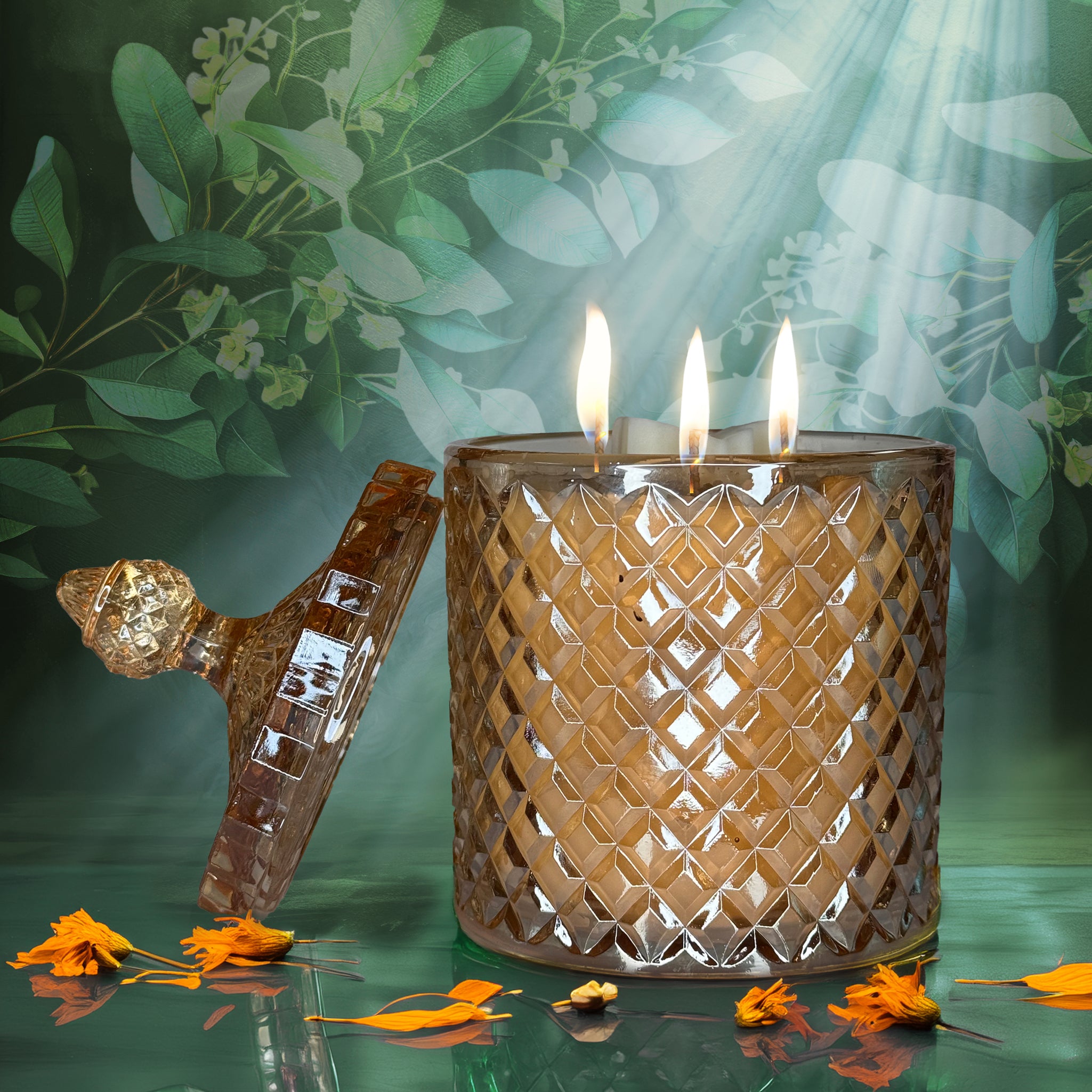 Eternal – Egyptian amber soy candle (double‑wick, dried flowers)